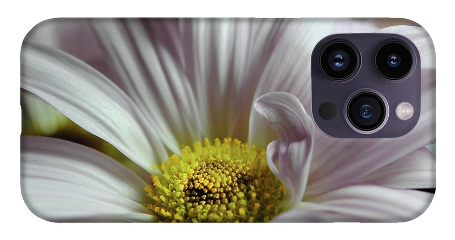 Light Lavender Daisies - Phone Case