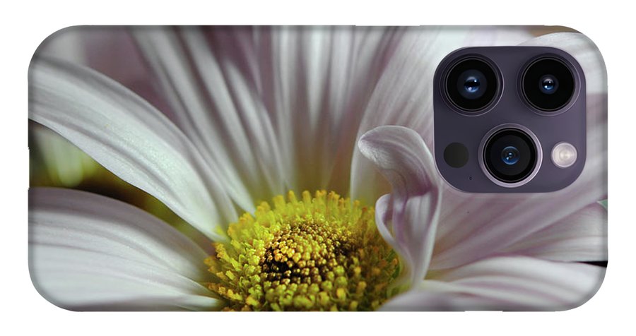 Light Lavender Daisies - Phone Case