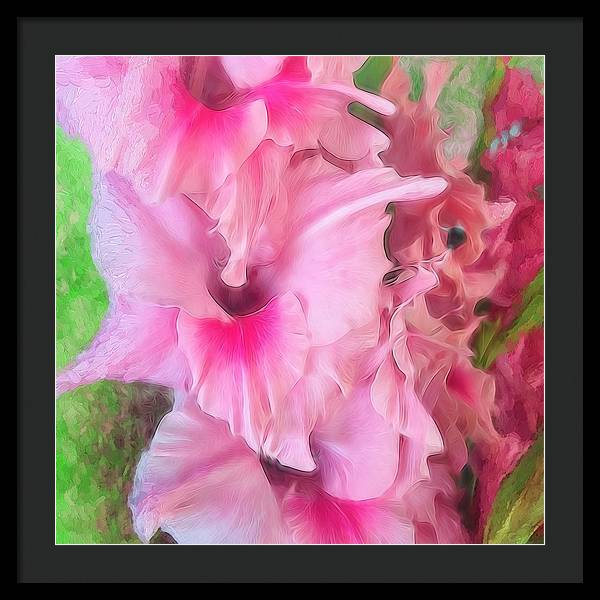Light Pink Gladiolas - Framed Print