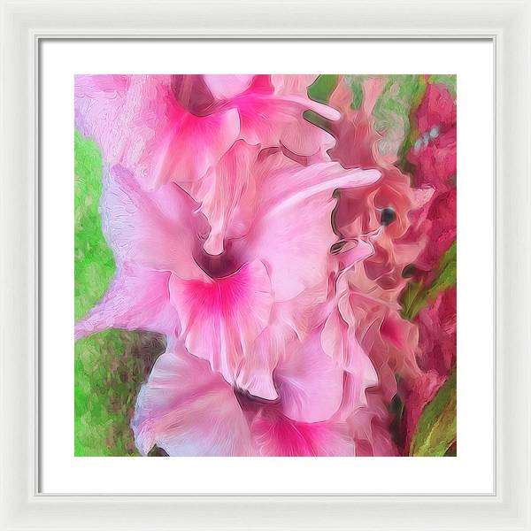 Light Pink Gladiolas - Framed Print