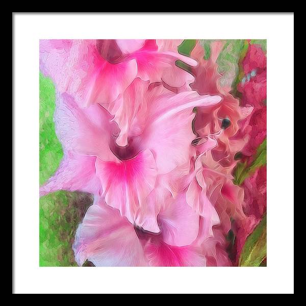 Light Pink Gladiolas - Framed Print