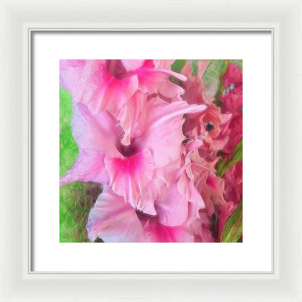 Light Pink Gladiolas - Framed Print