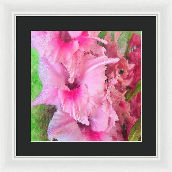 Light Pink Gladiolas - Framed Print