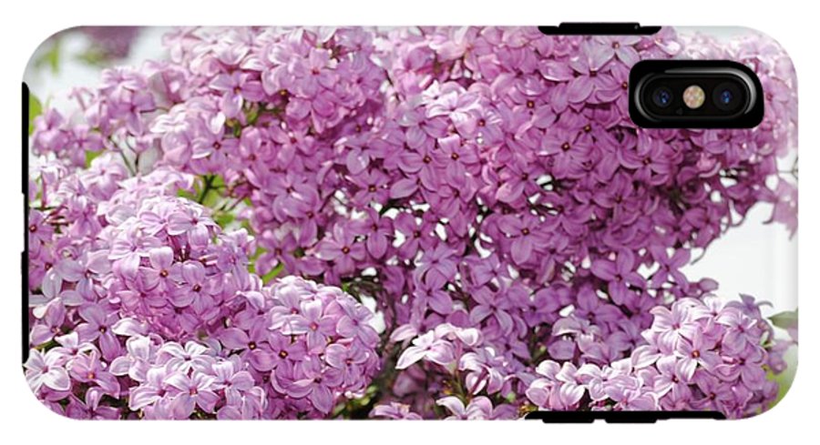 Lilacs With Sky - Phone Case