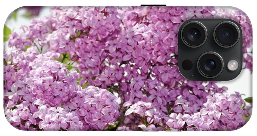 Lilacs With Sky - Phone Case
