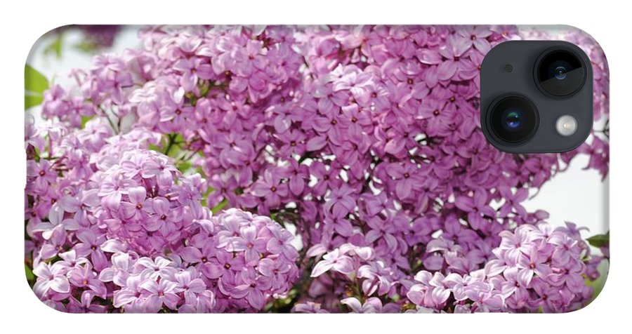 Lilacs With Sky - Phone Case