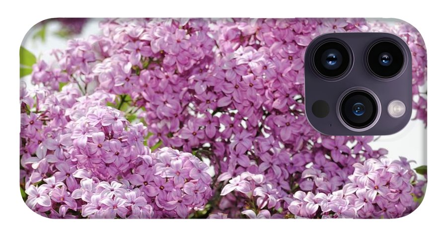 Lilacs With Sky - Phone Case