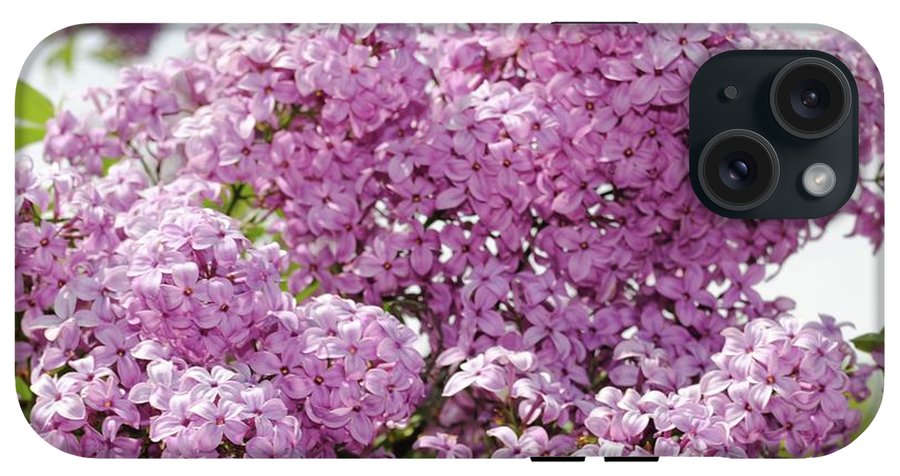 Lilacs With Sky - Phone Case