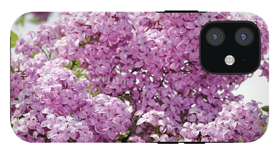 Lilacs With Sky - Phone Case