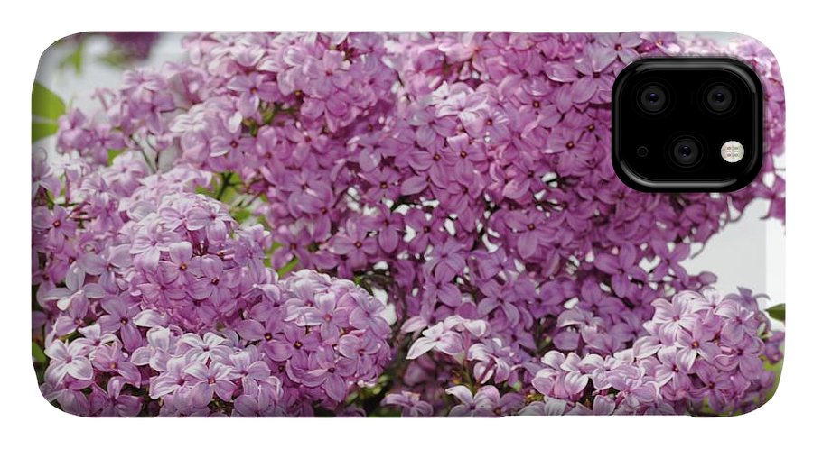 Lilacs With Sky - Phone Case