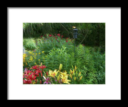 Lily Garden - Framed Print