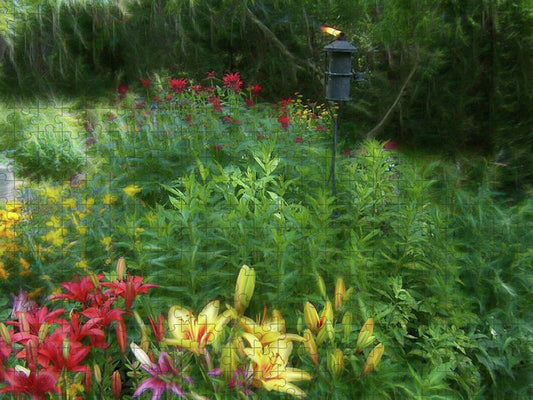 Lily Garden - Puzzle