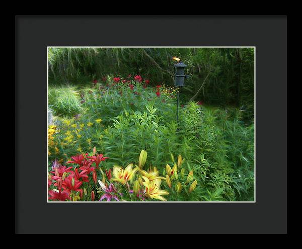 Lily Garden - Framed Print