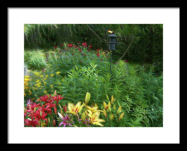 Lily Garden - Framed Print