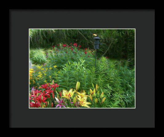 Lily Garden - Framed Print