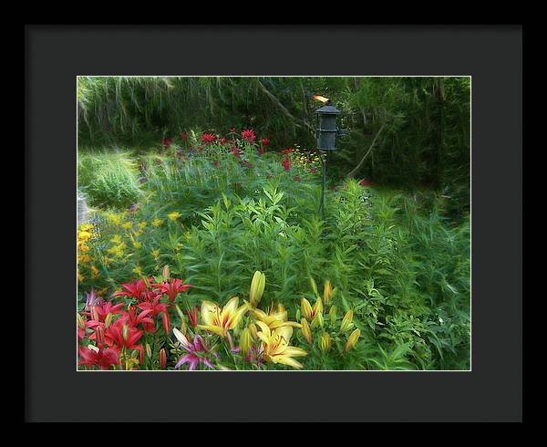 Lily Garden - Framed Print