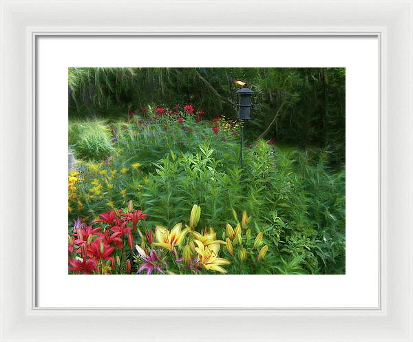 Lily Garden - Framed Print