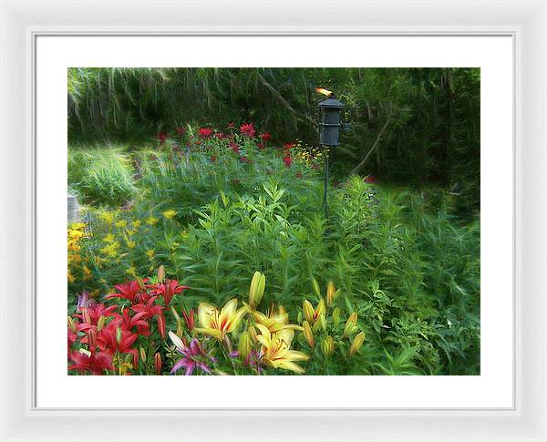 Lily Garden - Framed Print