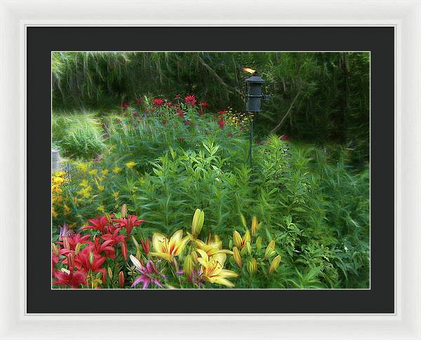 Lily Garden - Framed Print
