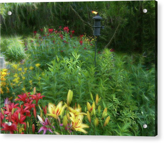 Lily Garden - Acrylic Print