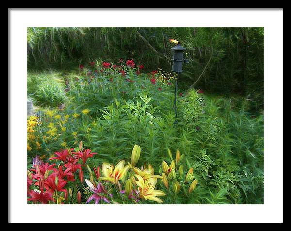 Lily Garden - Framed Print