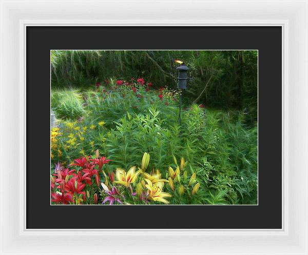 Lily Garden - Framed Print