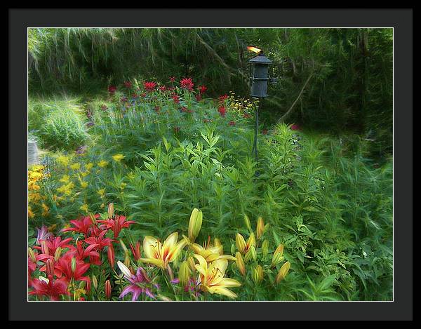 Lily Garden - Framed Print