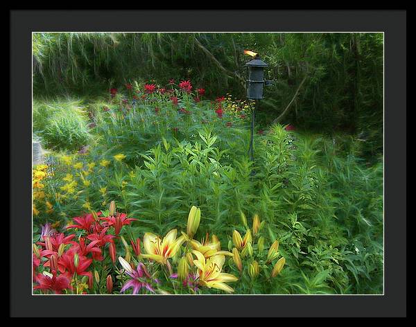 Lily Garden - Framed Print
