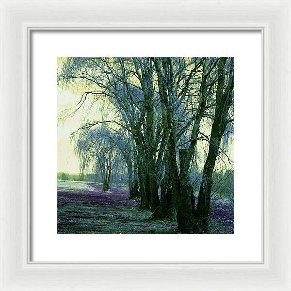 Line of Weeping Willow Trees - Framed Print