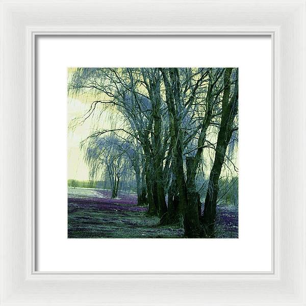 Line of Weeping Willow Trees - Framed Print