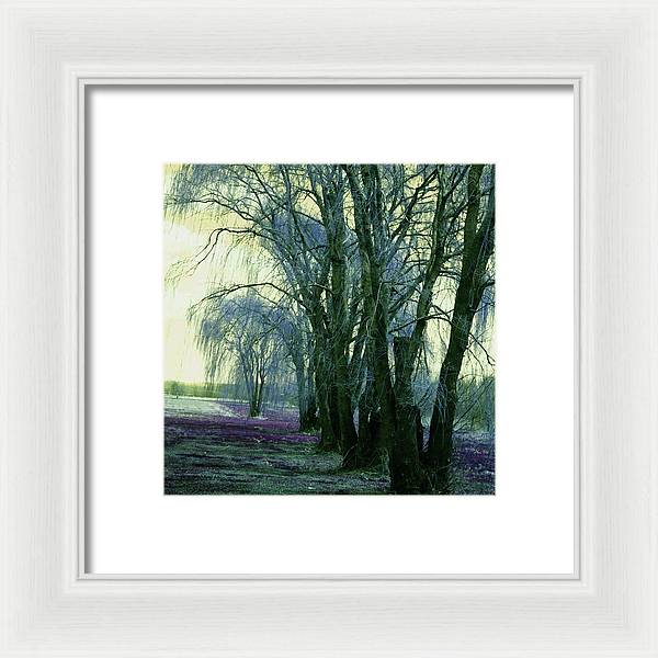 Line of Weeping Willow Trees - Framed Print
