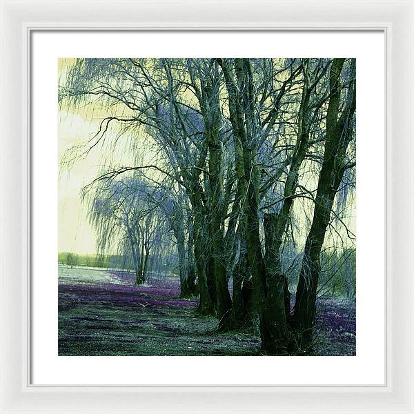 Line of Weeping Willow Trees - Framed Print