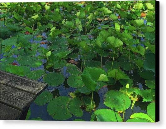 Lotus Pond With Pier - Canvas Print