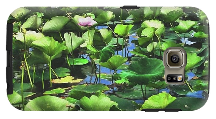 Lotus With Pink Blossom - Phone Case