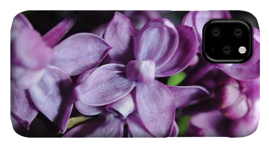 Macro Lilacs - Phone Case
