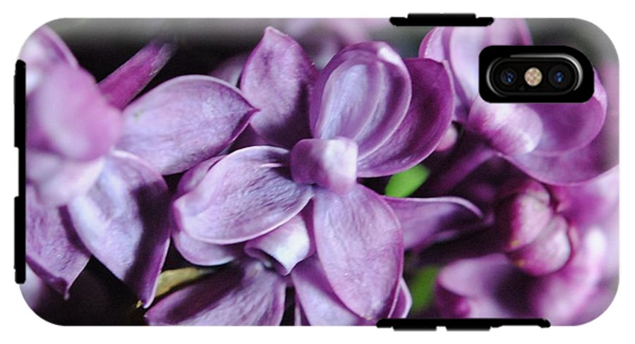 Macro Lilacs - Phone Case
