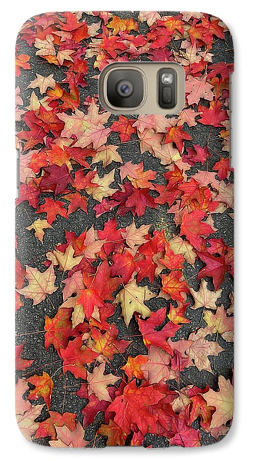 Maple Leaves In October 1 - Phone Case