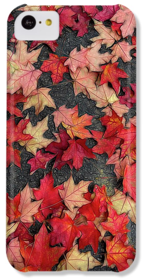 Maple Leaves In October 2 - Phone Case