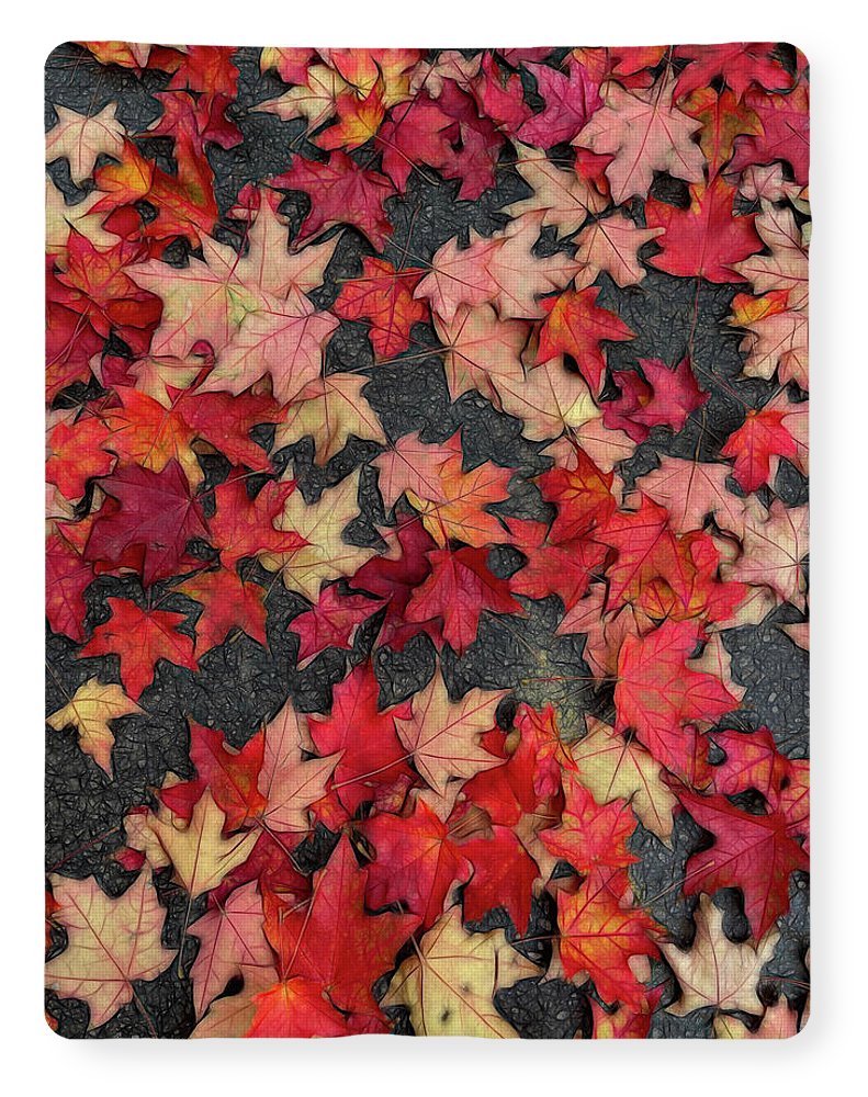 Maple Leaves In October 2 - Blanket