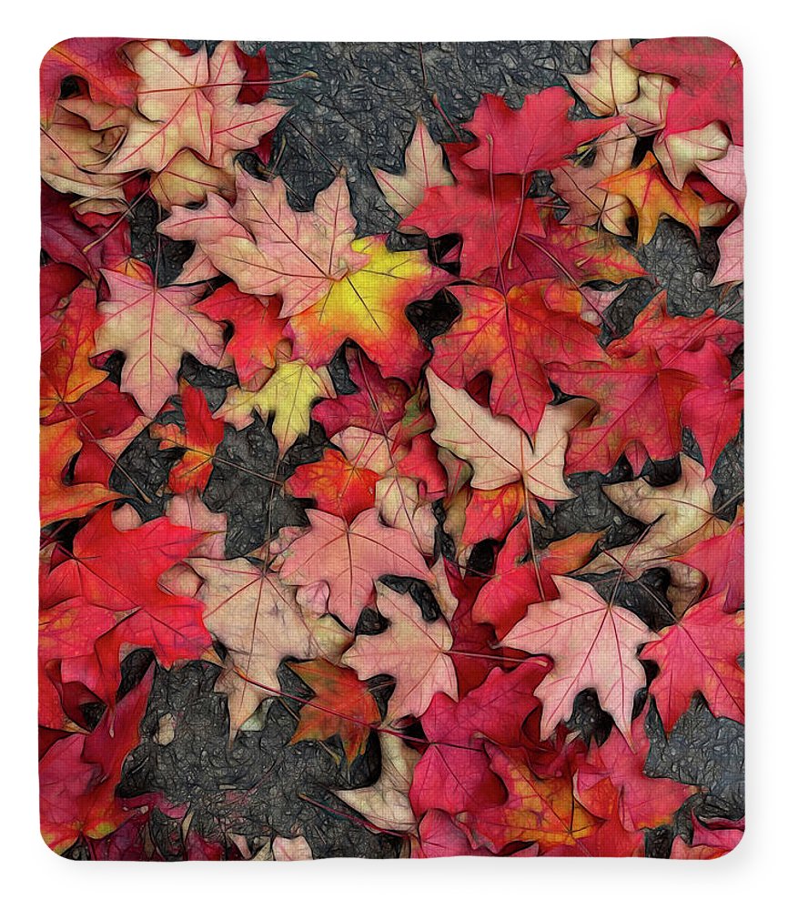Maple Leaves In October 3 - Blanket