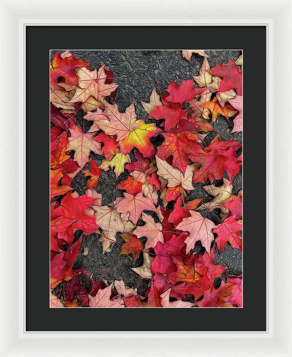 Maple Leaves In October 3 - Framed Print