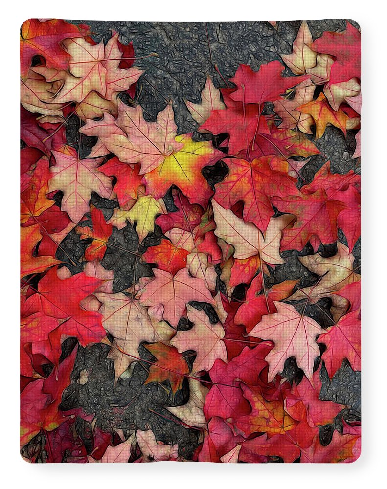 Maple Leaves In October 3 - Blanket
