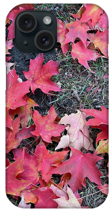 Maple Leaves In October 4 - Phone Case