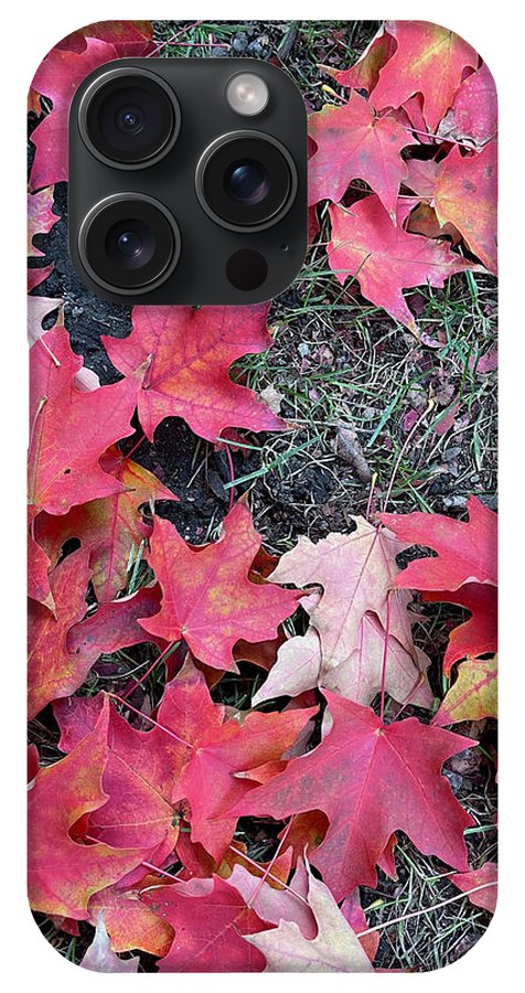 Maple Leaves In October 4 - Phone Case