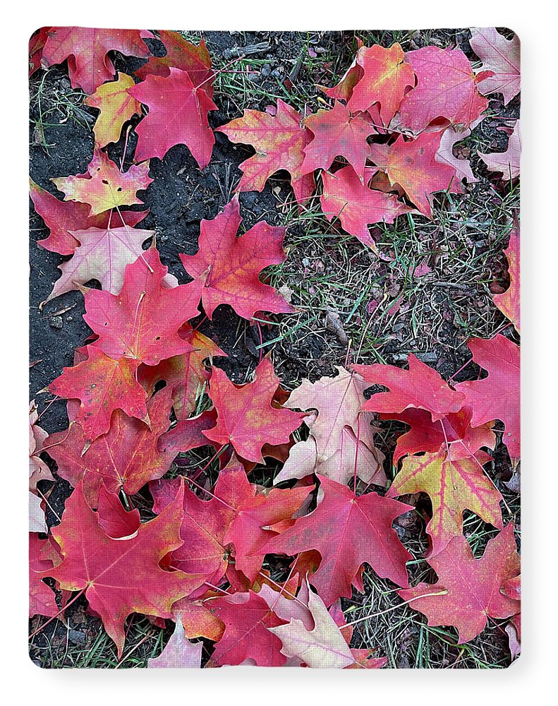 Maple Leaves In October 4 - Blanket