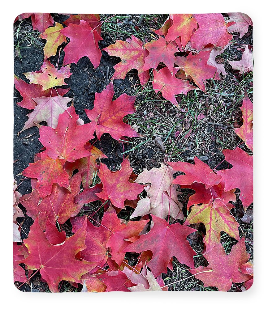 Maple Leaves In October 4 - Blanket