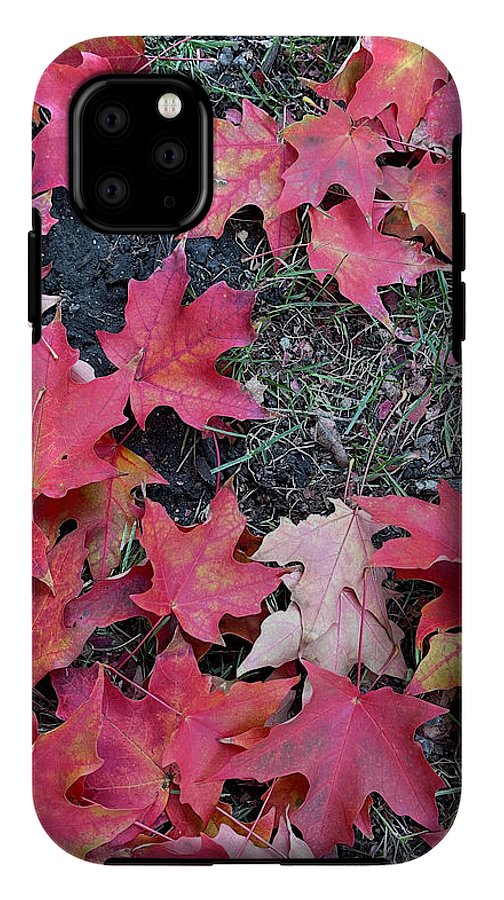 Maple Leaves In October 4 - Phone Case
