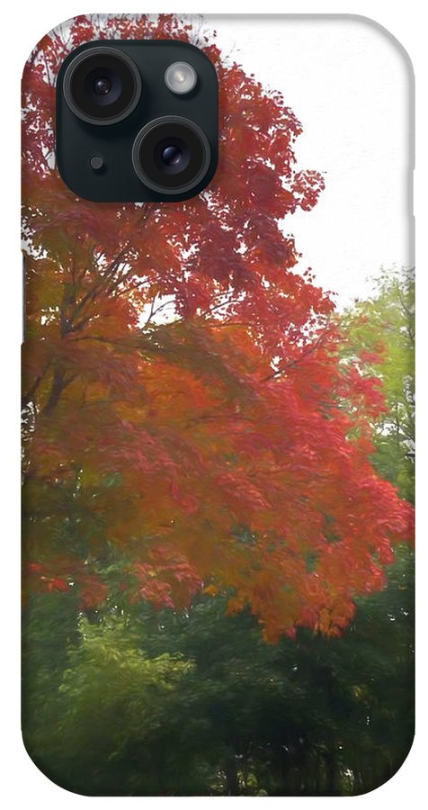 Maple Tree In October - Phone Case