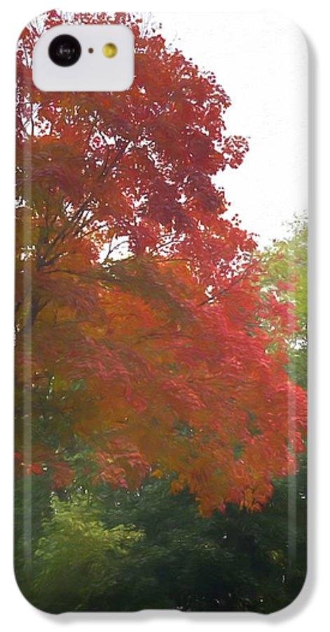 Maple Tree In October - Phone Case