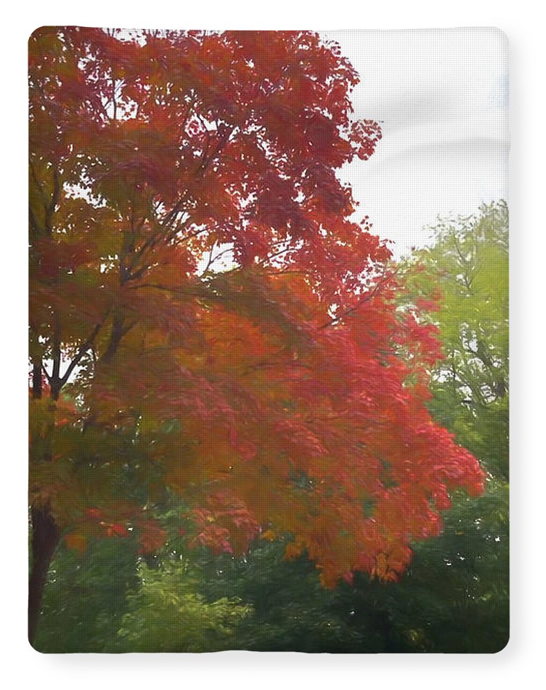 Maple Tree In October - Blanket